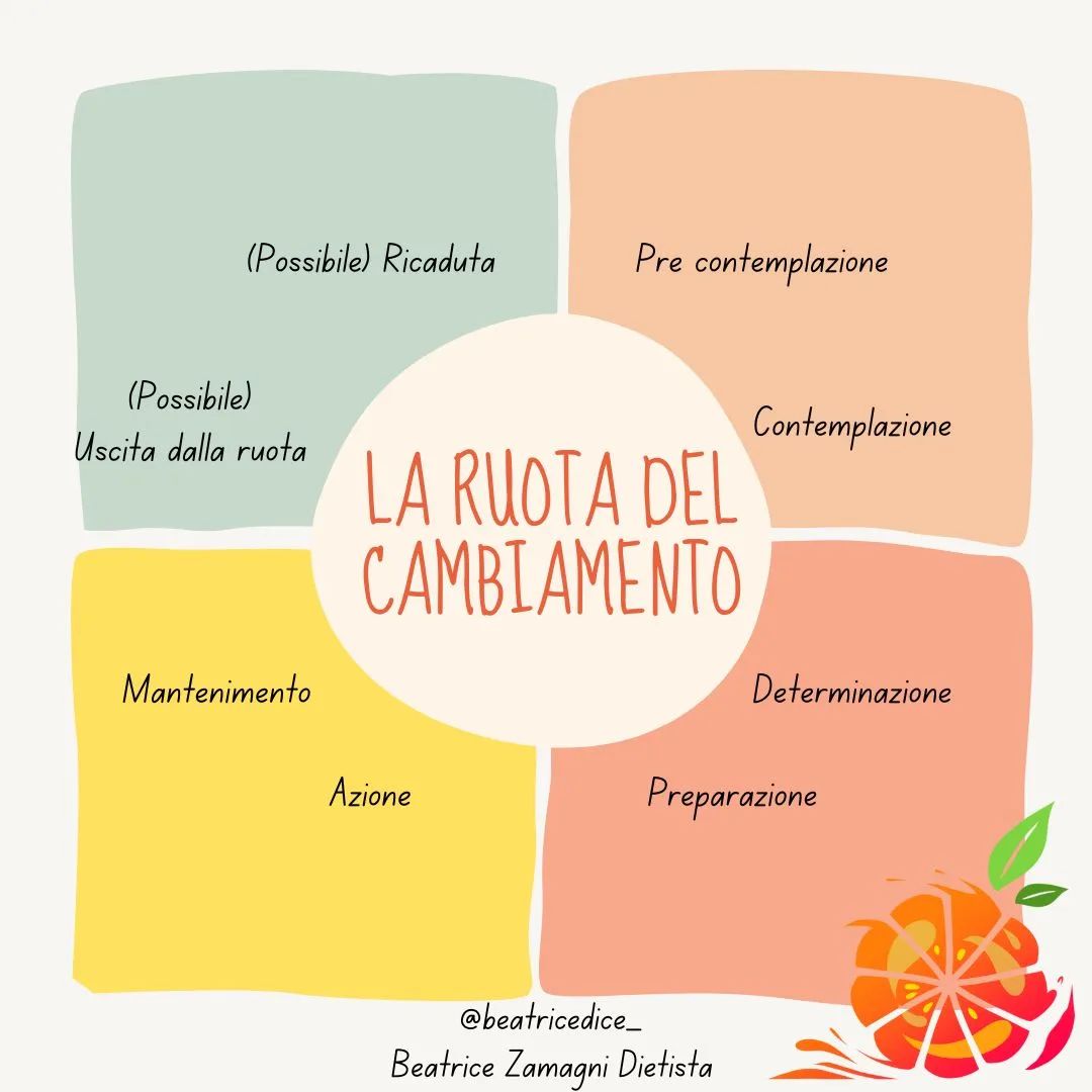 🎡La “ruota del cambiamento” descritta nel modello transteorico di Prochaska-Di Clemente prevede diverse fasi disposte in forma circolare. 